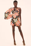 ATHENA DRESS
