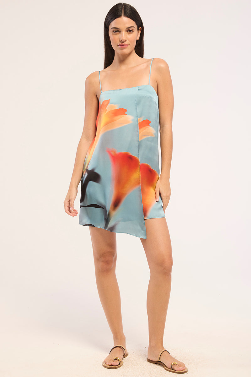 INEZ DRESS